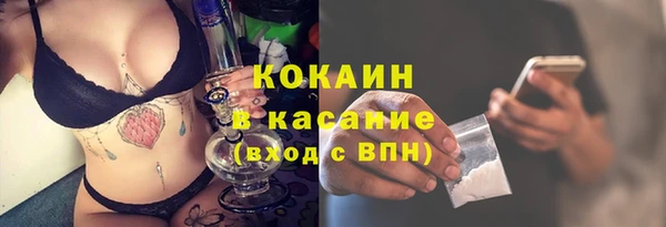 метадон Богданович