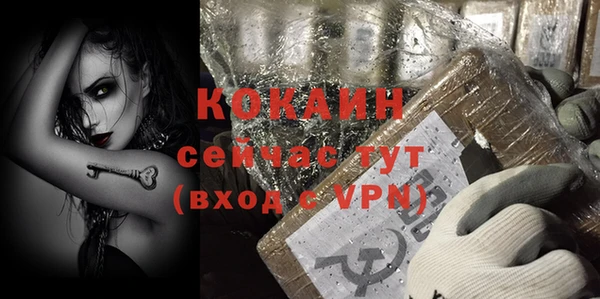 метадон Богданович