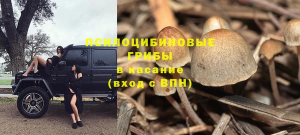 молекула духа Белоозёрский