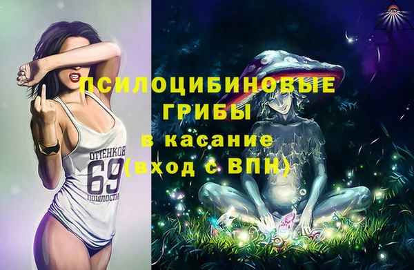 молекула духа Белоозёрский